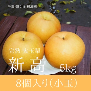 コピー：【ジューシーな大玉梨】新高　安定品質の8個入り 5kg