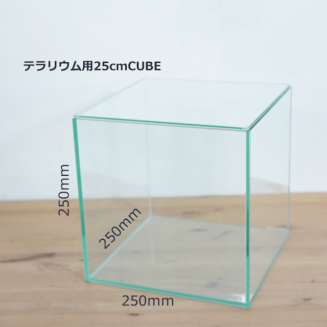 【ガラス容器】 苔テラリウム用 25cmCUBEガラス水槽 （250ｘ250ｘｈ250mm）