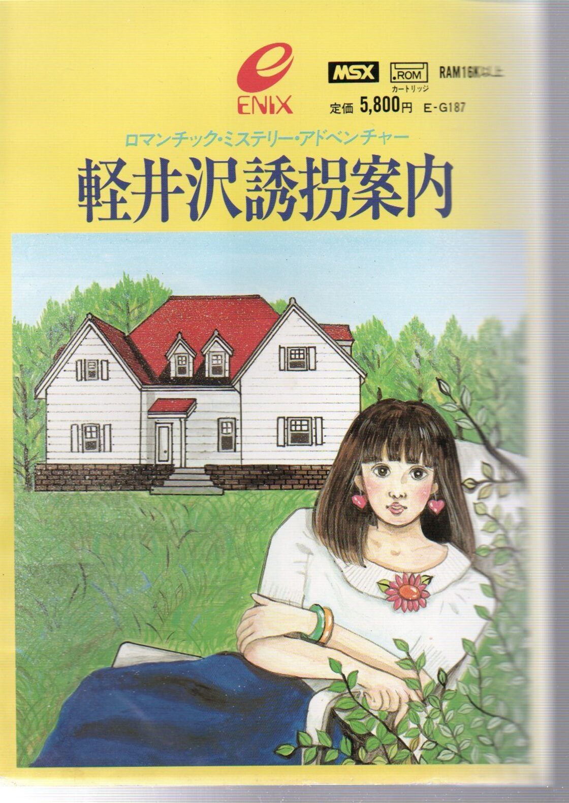 軽井沢誘拐案内 説明書 カセット BOX | PAY ID