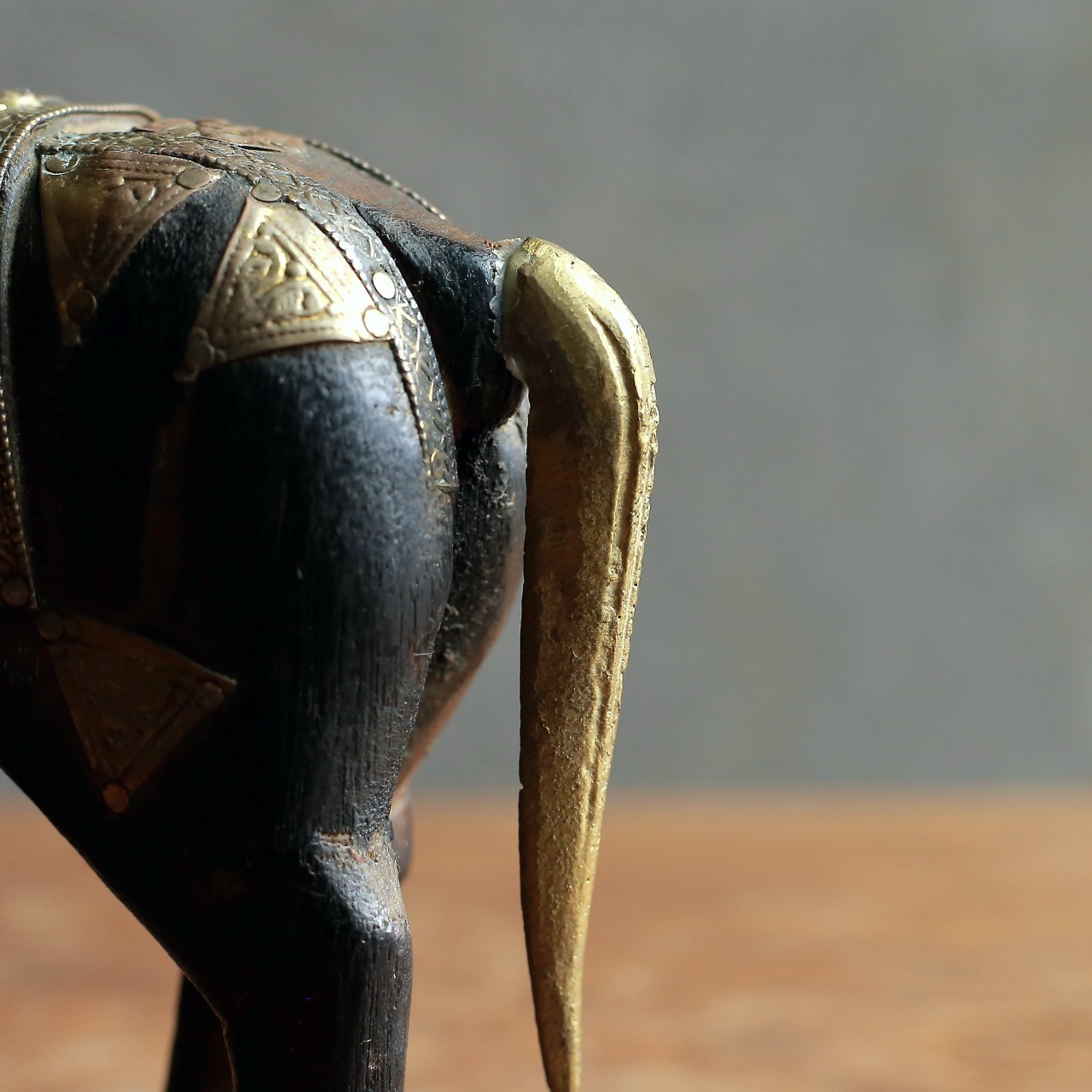 手放したくないほど美しい馬 20