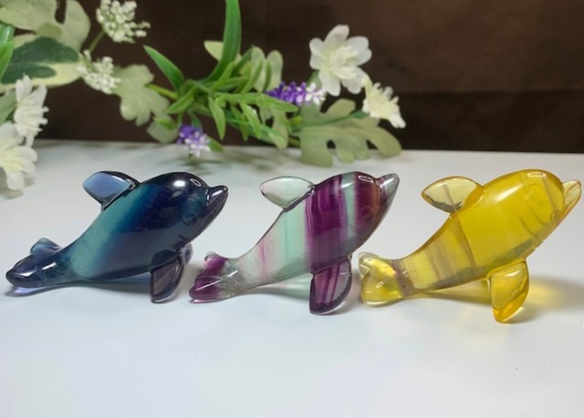 海のアニマル♪♪フローライトイルカのお家セット