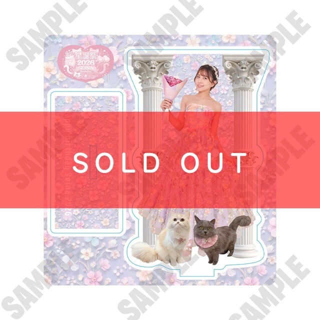 【竹内星菜生誕記念】アクリルスタンド【ZR0648】