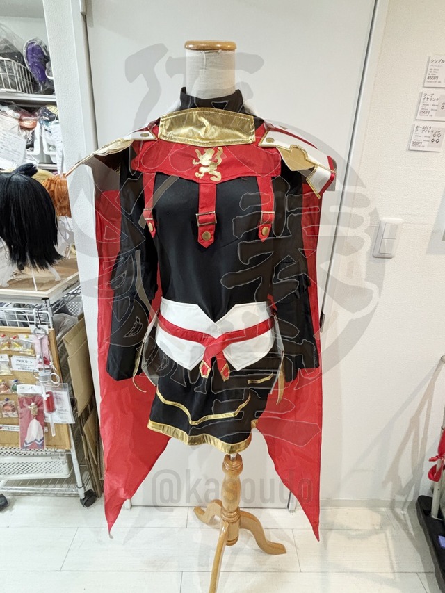 【男性サイズ】Fate/GrandOrder　アストルフォ　第二再臨　風衣装【ウィッグ、靴付き】