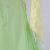 社交ダンス 衣装 prima boutique プリマブティック ドレス ワンピース グリーン系 花 花柄 レース 緑 黄緑 長袖 明るい 華やか かわいい ダンス衣装 イベント ステージ 練習 レッスン パーティー おしゃれ 透け感