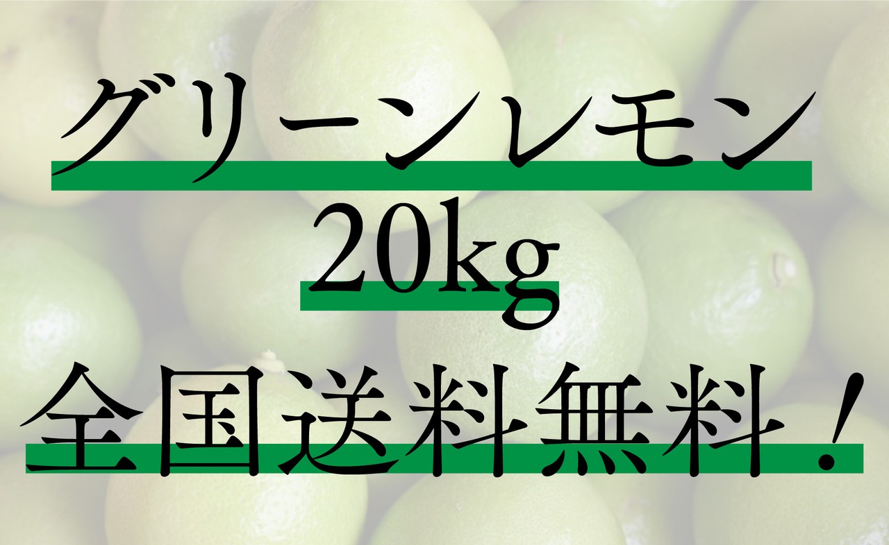 【全国送料無料】グリーンレモン（ハウス栽培）　20kg