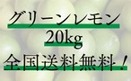 【全国送料無料】グリーンレモン（ハウス栽培）　20kg