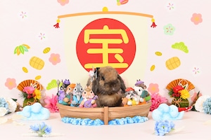 第48回　1月ハロフォト撮影会 in 柴又店