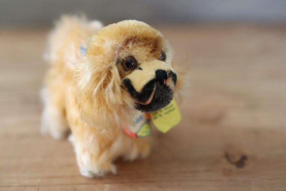 アンティーク シュタイフ 犬 ペキニーズ Peky ぷちアンティーク