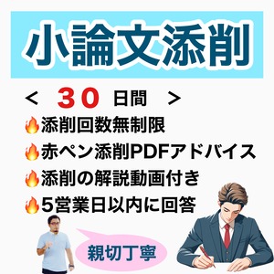 「昇格試験の小論文添削」（30日間回数無制限）