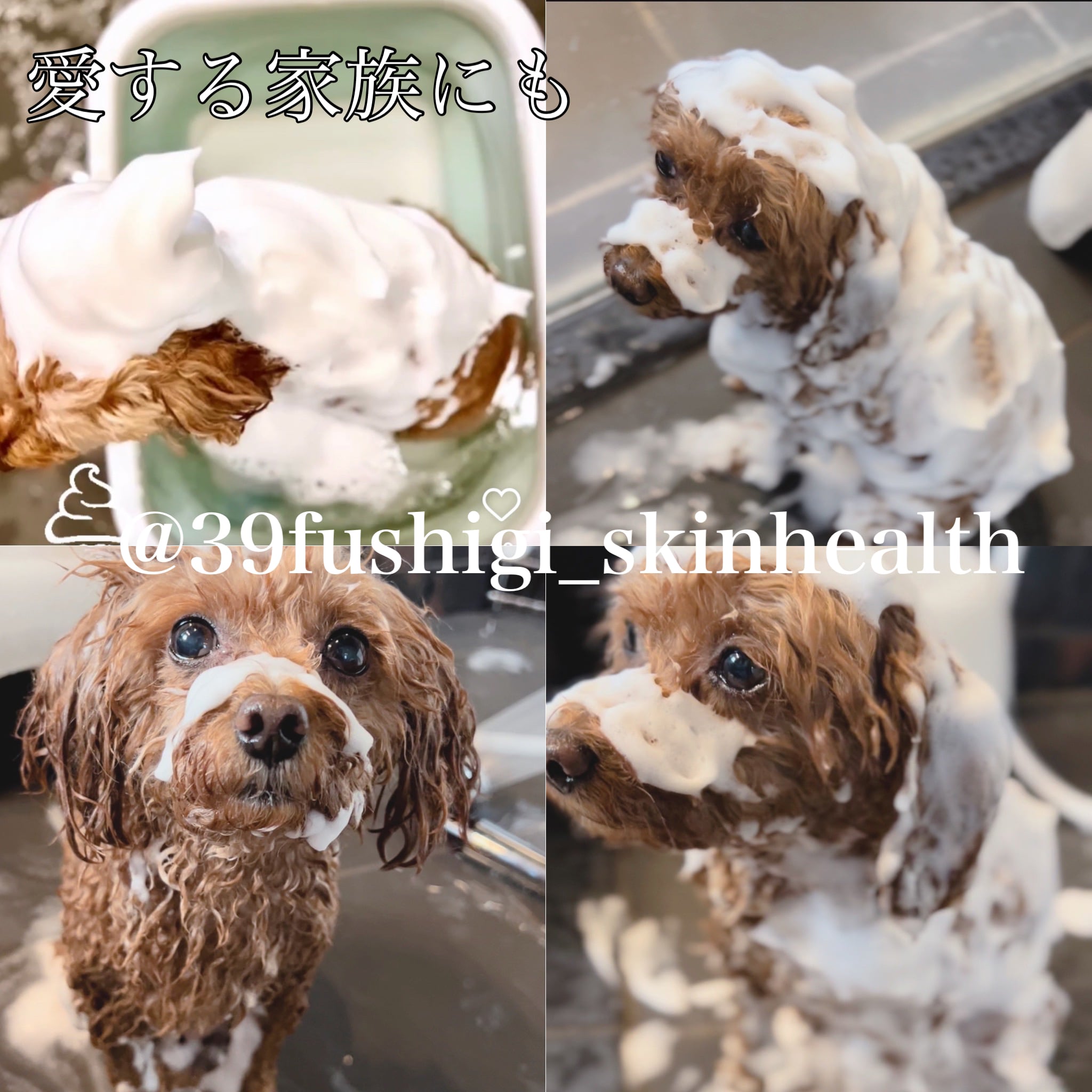 レガロ 私の不思議なクリーム、私の不思議なピート石鹸 セット レガロ 私の不思議なクリーム、私の不思議なピート石鹸 セット 不思議