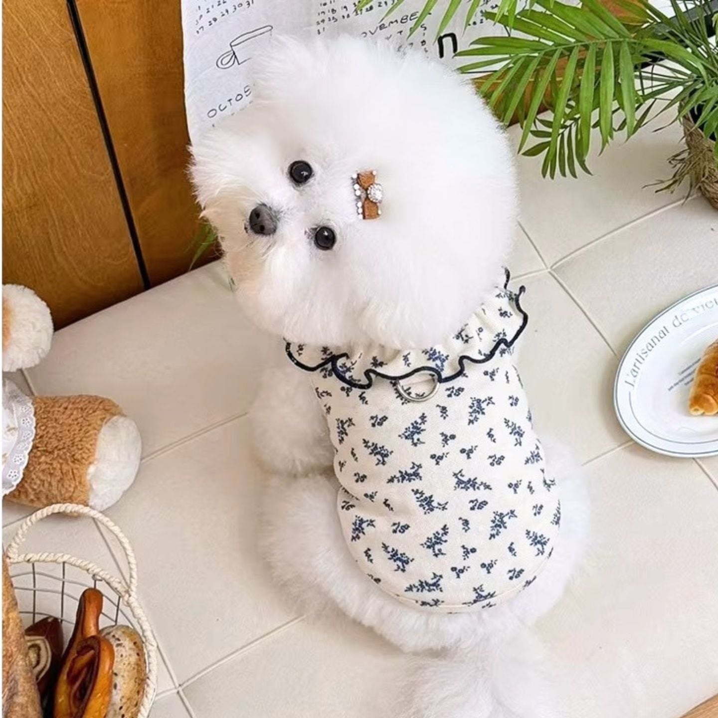 CanNana 新品　未使用　タグ付き　フリル付き 小型犬 犬 フリフリワンピース CanNana 犬 犬服 服 秋冬 ドックウェア