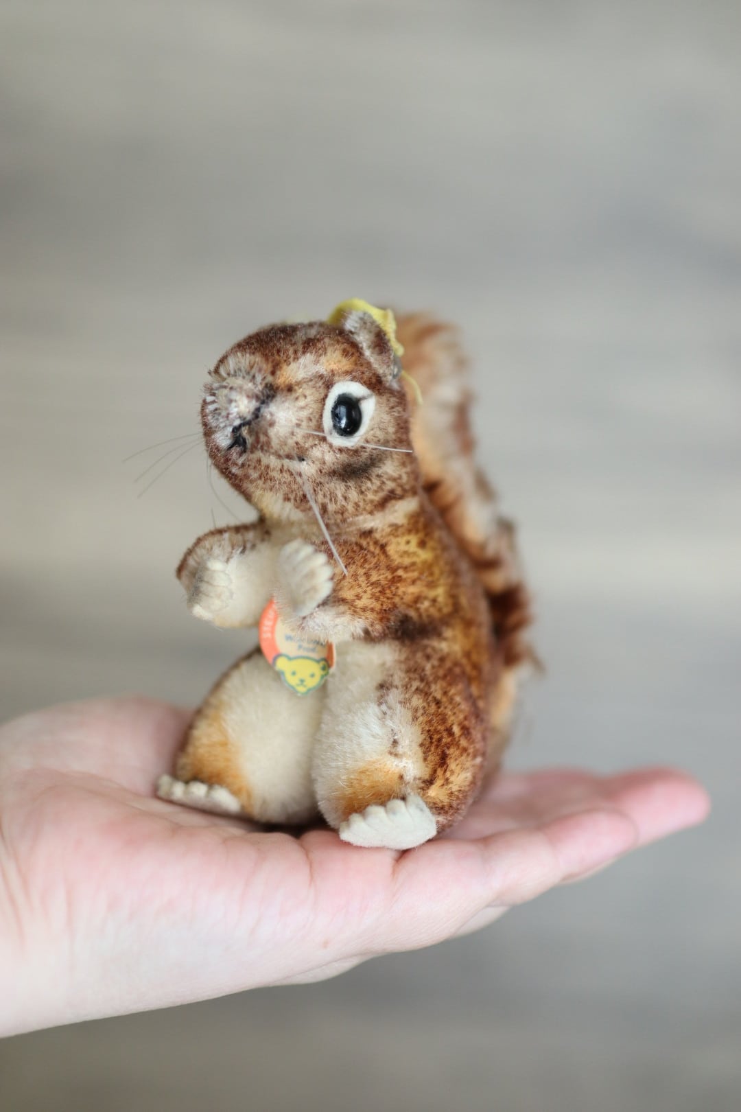 シュタイフ ぬいぐるみ リス Perri ヴィンテージ