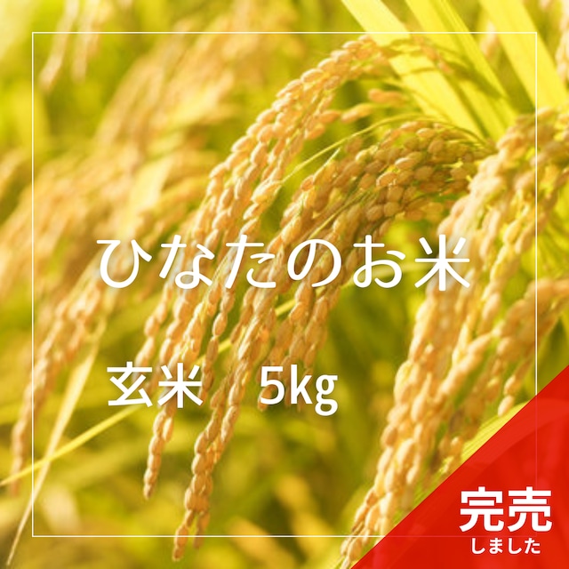 【応援価格】R7年産　ひなたのお米 玄米 5kg
