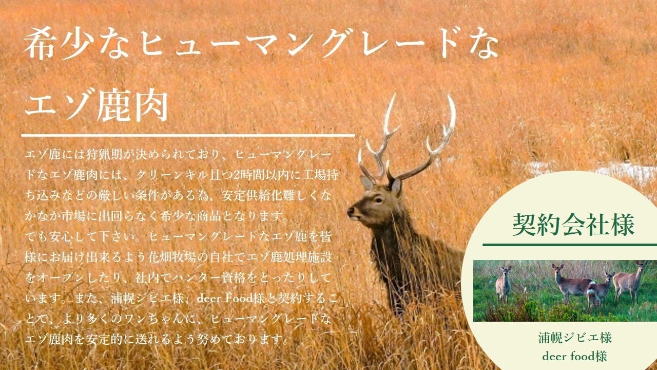 定期便/送料無料】エゾ鹿生肉の切り落とし 2.5kg(500g×5個)セット