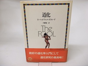 道化　/　イーニッド・ウェルズフォード　内藤健二訳　[16183]