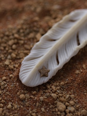 pendant (M) _ on crinoid fossil _ 001