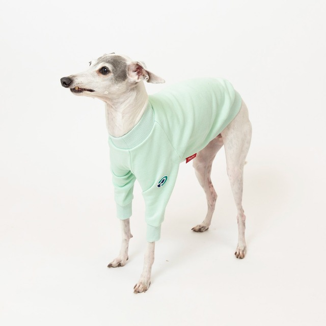 トレーナー2024　cool mint / イタグレ服