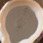 RS PRUSSIA 薔薇と金彩が彩る “Tea for Two” ティーセット thumbnail 9