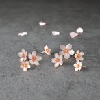 桜 ーCherryblossomー