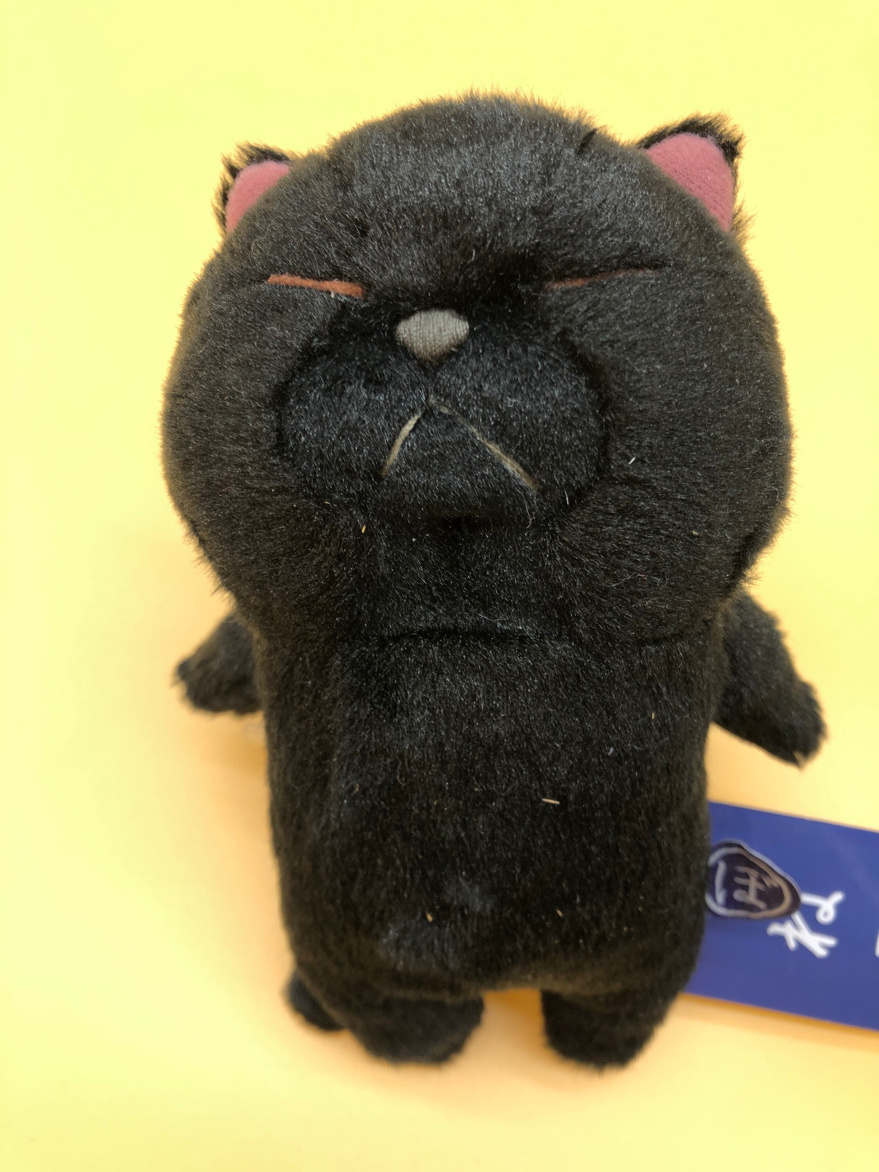 ぼうねこ | catslife