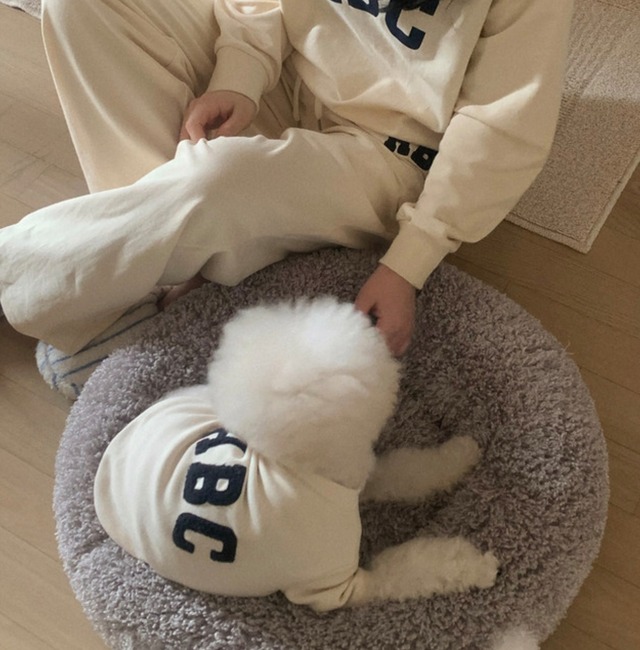 即納【HONEY DOG】ABC Tシャツ(cream)