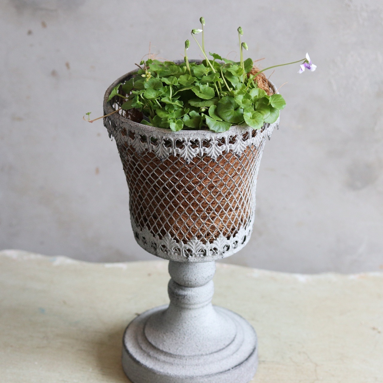 ブリキ植木鉢 　マイユスタンドカップGY　アンティーク調　シャビーシック　オシャレ　M901