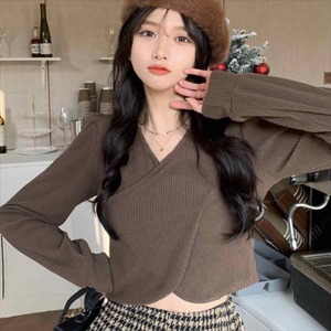 【送料無料】セーター 4色 長袖 カジュアル系 こなれ感 シンプルデザイン Vネック ショート丈 プチプライス 大人可愛い 30代 40代 レディースファッション 可愛い お出かけ 女子会 デイリーユース お茶会 ブラック グレー ブラウン ホワイト