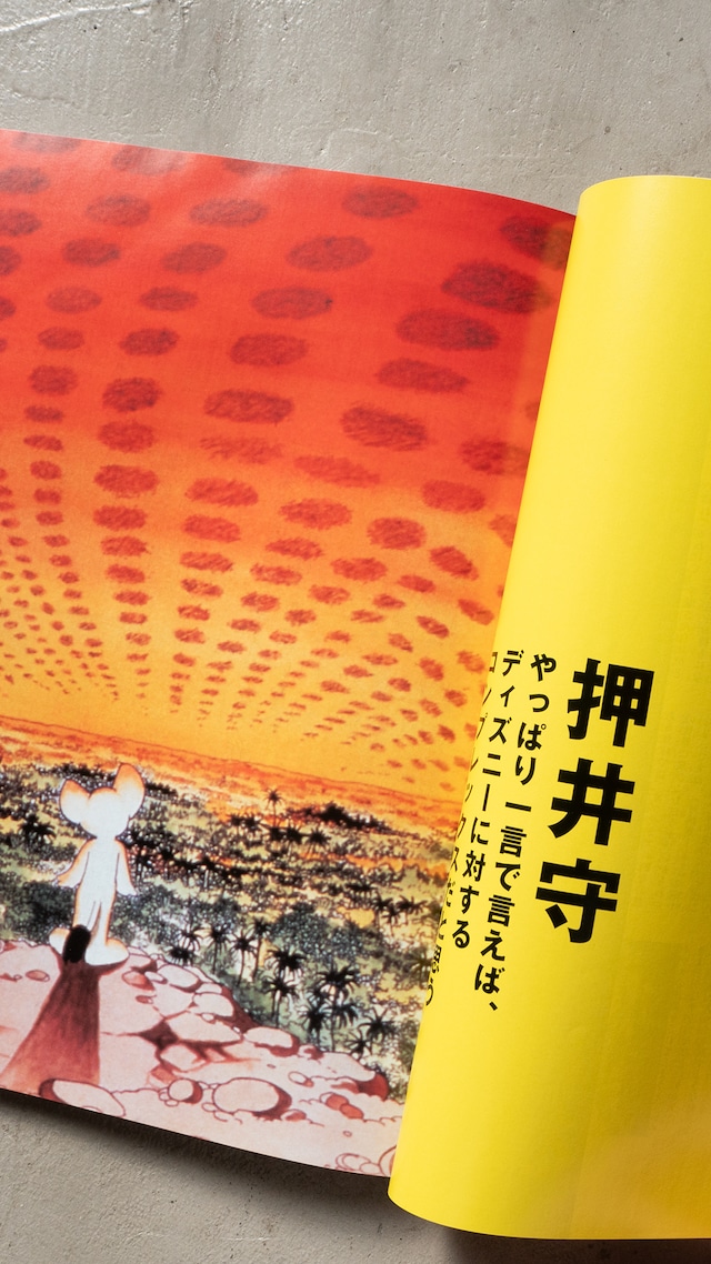 "SIGHT vol.15" used Magazine book