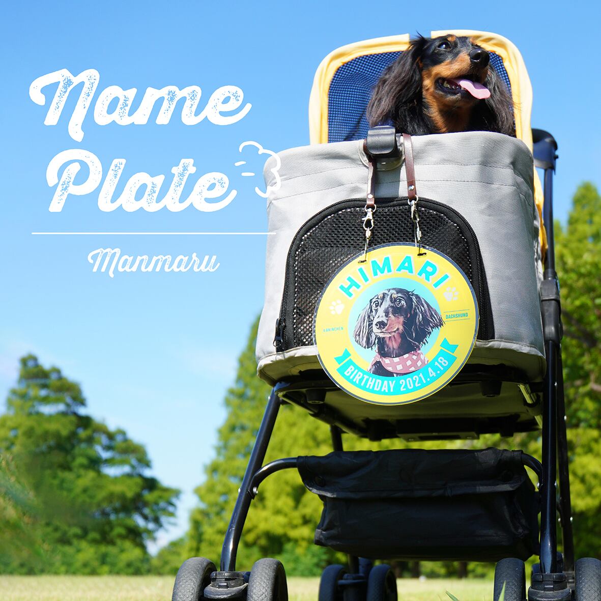 カート ネームプレート〈まんまるstyle〉 | ひまわんギャラリー