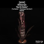 Billbergia 'Darth Vader'〔ビルベルギア〕B335