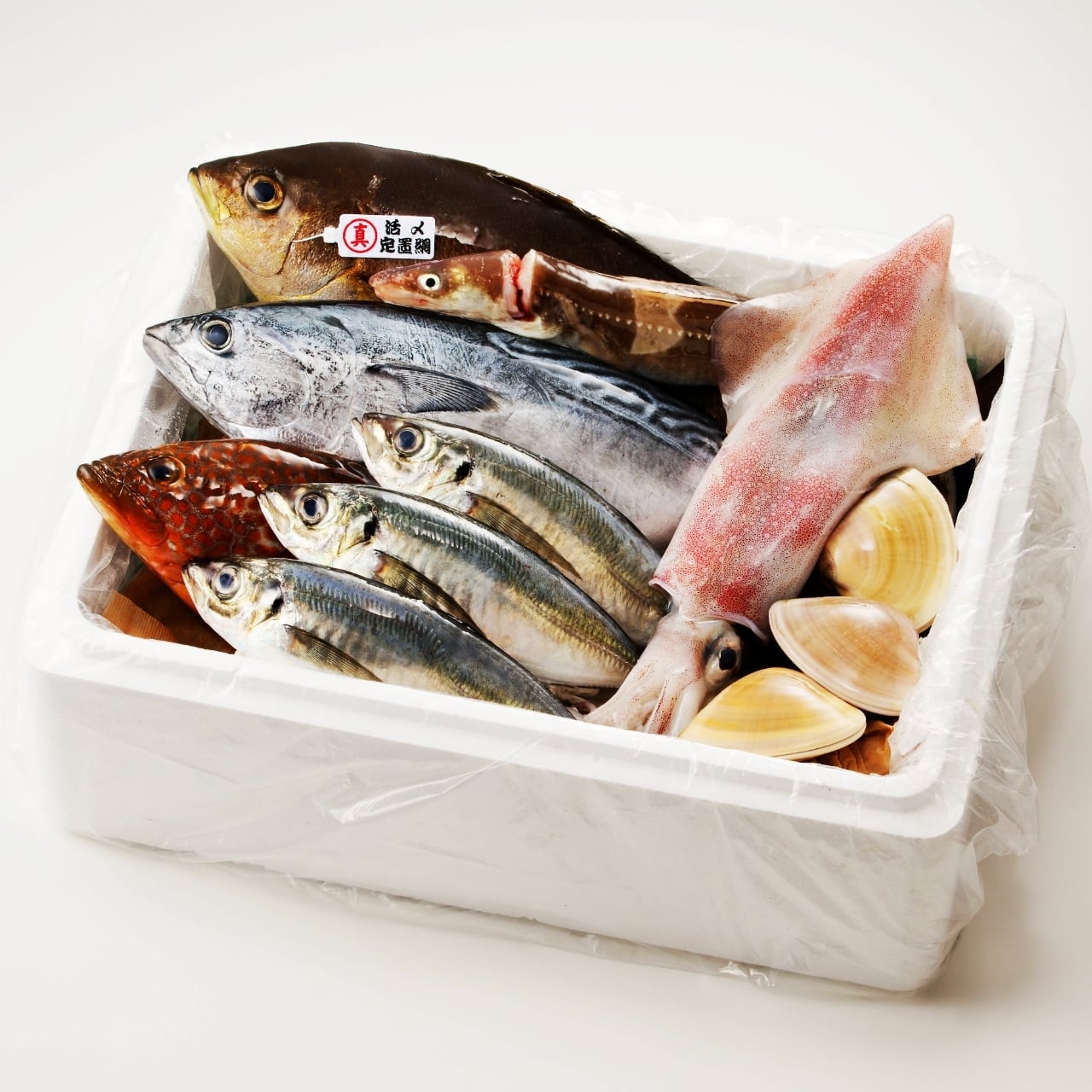 やなぎの鮮魚・極上コース | やなぎ水産