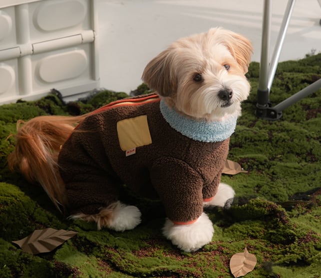 予約【BITEME】Winter Palette Fleece All-in-one (3colors)