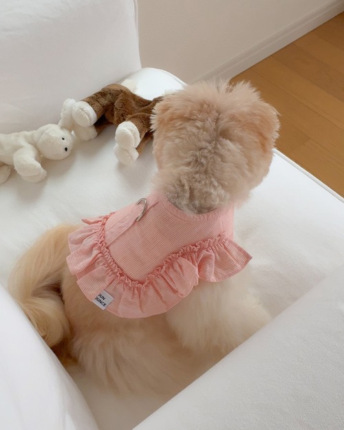 〈即納アイテム〉OUNCE / エアフリルハーネス（コーラルストライプ）