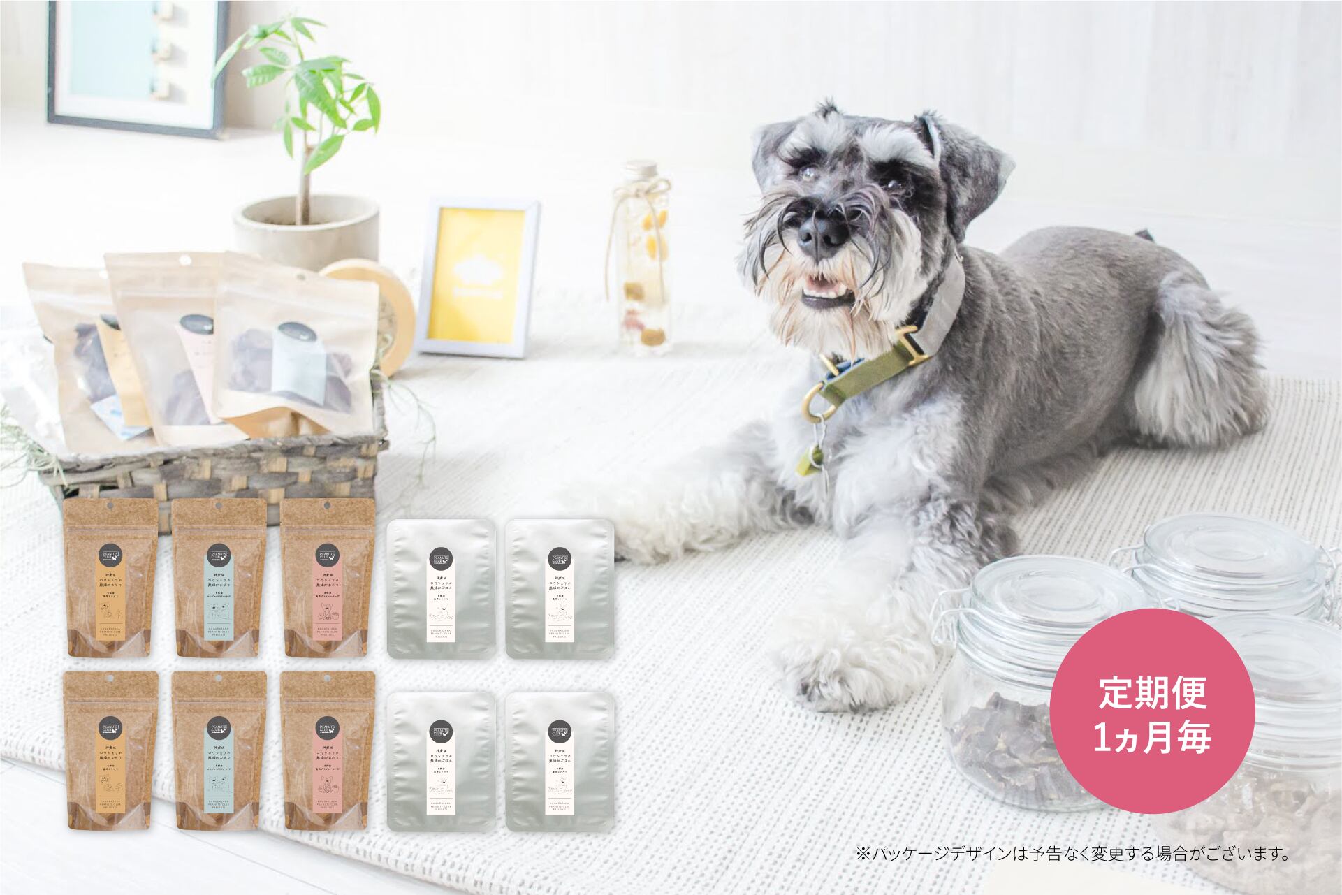 定期便1ヶ月毎 ロクシェフの無添加おやつ ごはん 10個セット Peanuts Club Official Store