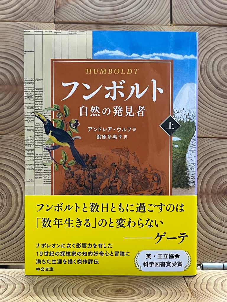 レインジャー忍法　宮崎惇　豆たぬきの本 レインジャー忍法 : 冒険のヒーローになれる 豆たぬきの本(宮崎惇 著
