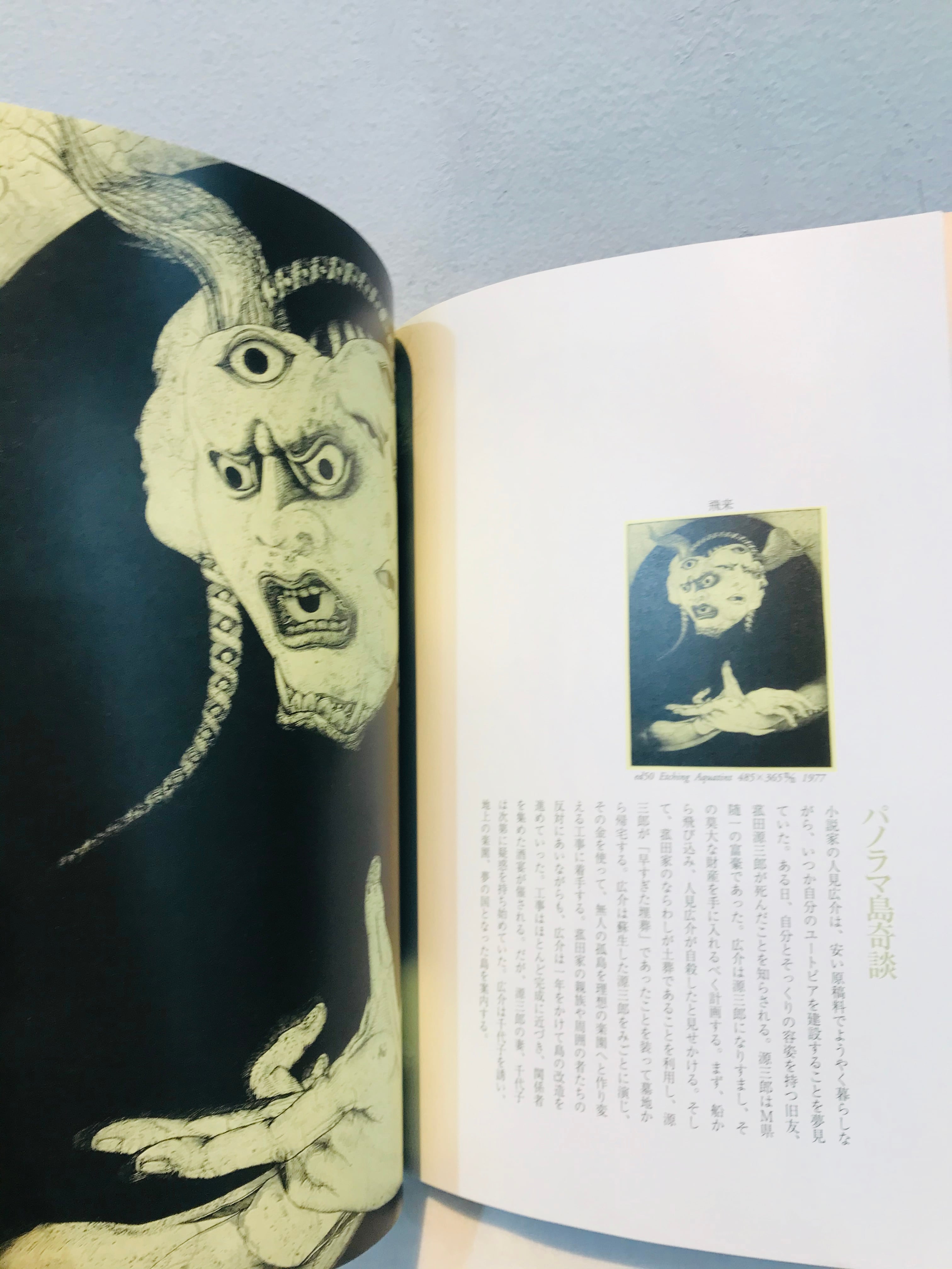 ピカソ全集 第5巻　幻想の時代　洋書 ピカソ全集 第5巻 幻想の時代 洋書 ピカソ全集 第5巻 幻想の