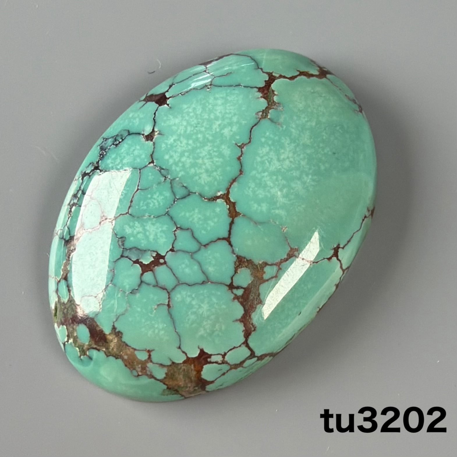 ドラゴンアゲート 30ミリ ルース グレー染め nl6562 | 天然石の詩