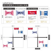 パジコ 石塑粘土 ラドール 500g 日本製 303101