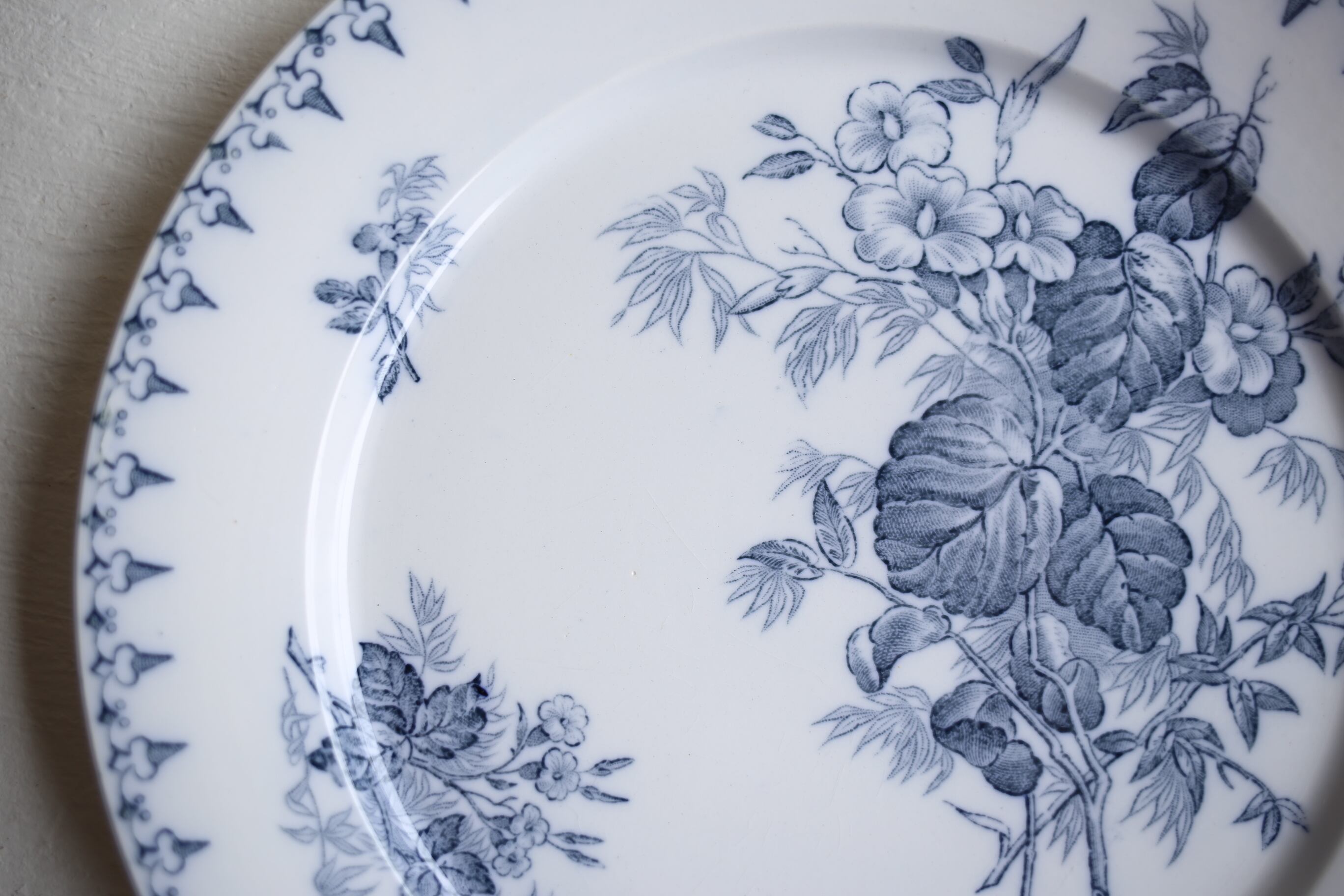 最終価格サルグミンヌ FLORE フランス アンティークプレート 【公式通販】