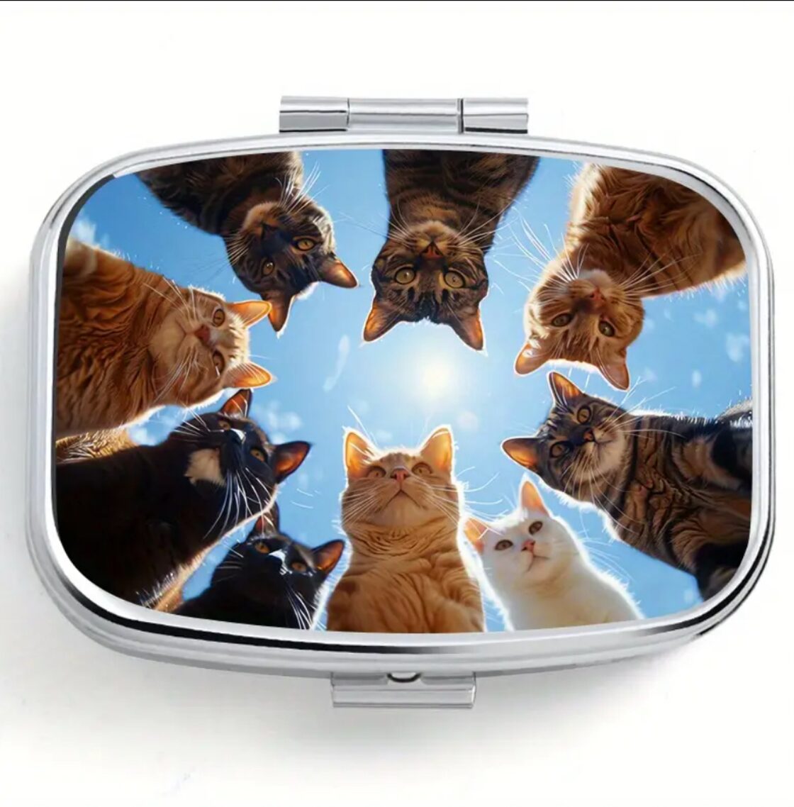 猫に見下ろされるピルケース | Pay ID