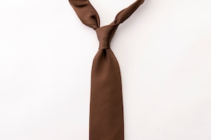 レップソリッドタイ BROWN