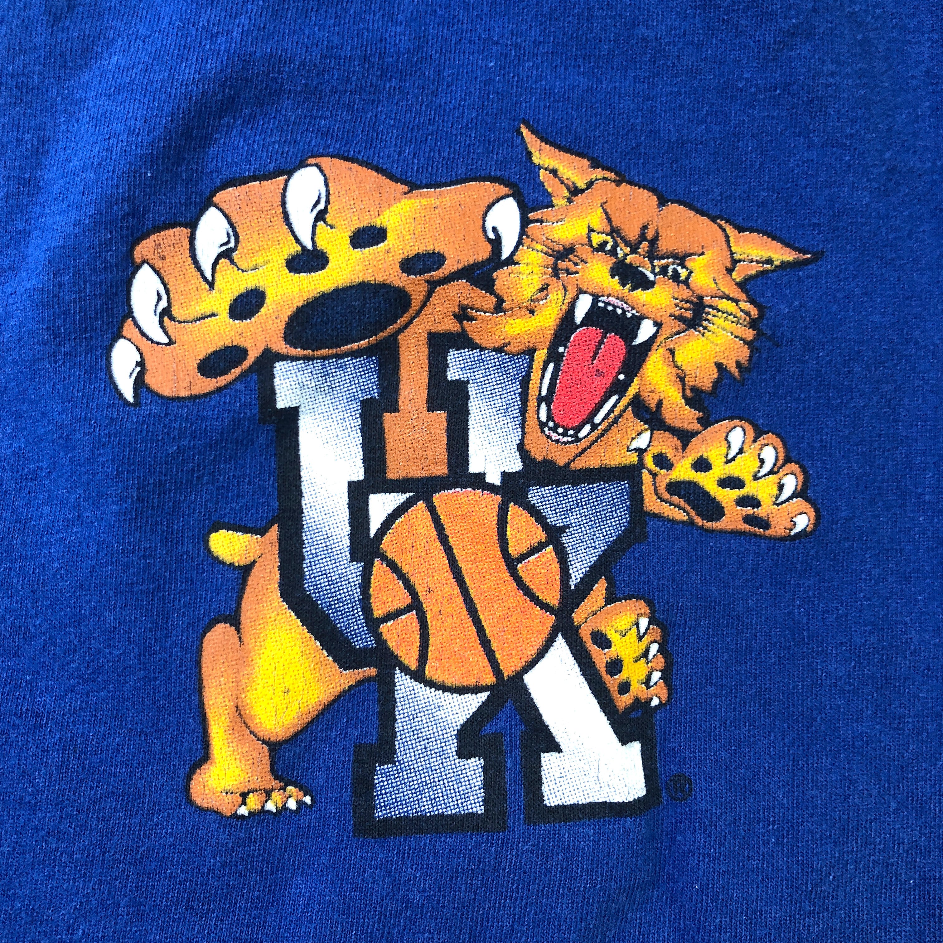 Vintage Kentucky wildcats ビンテージ　ケンタッキー大学