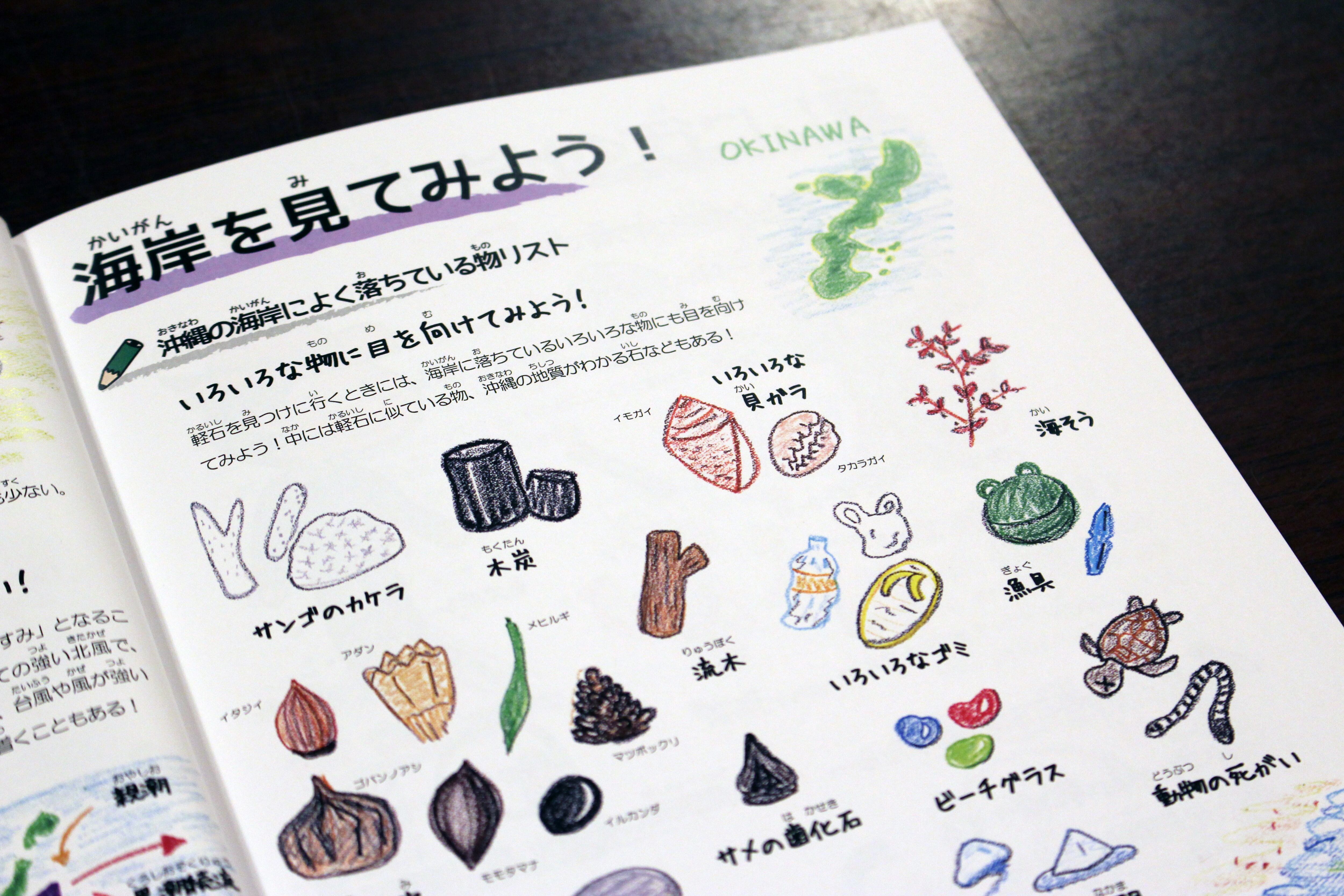 図鑑◇軽石のふしぎ◇子どもから大人まで楽しめる、軽石の不思議と面白