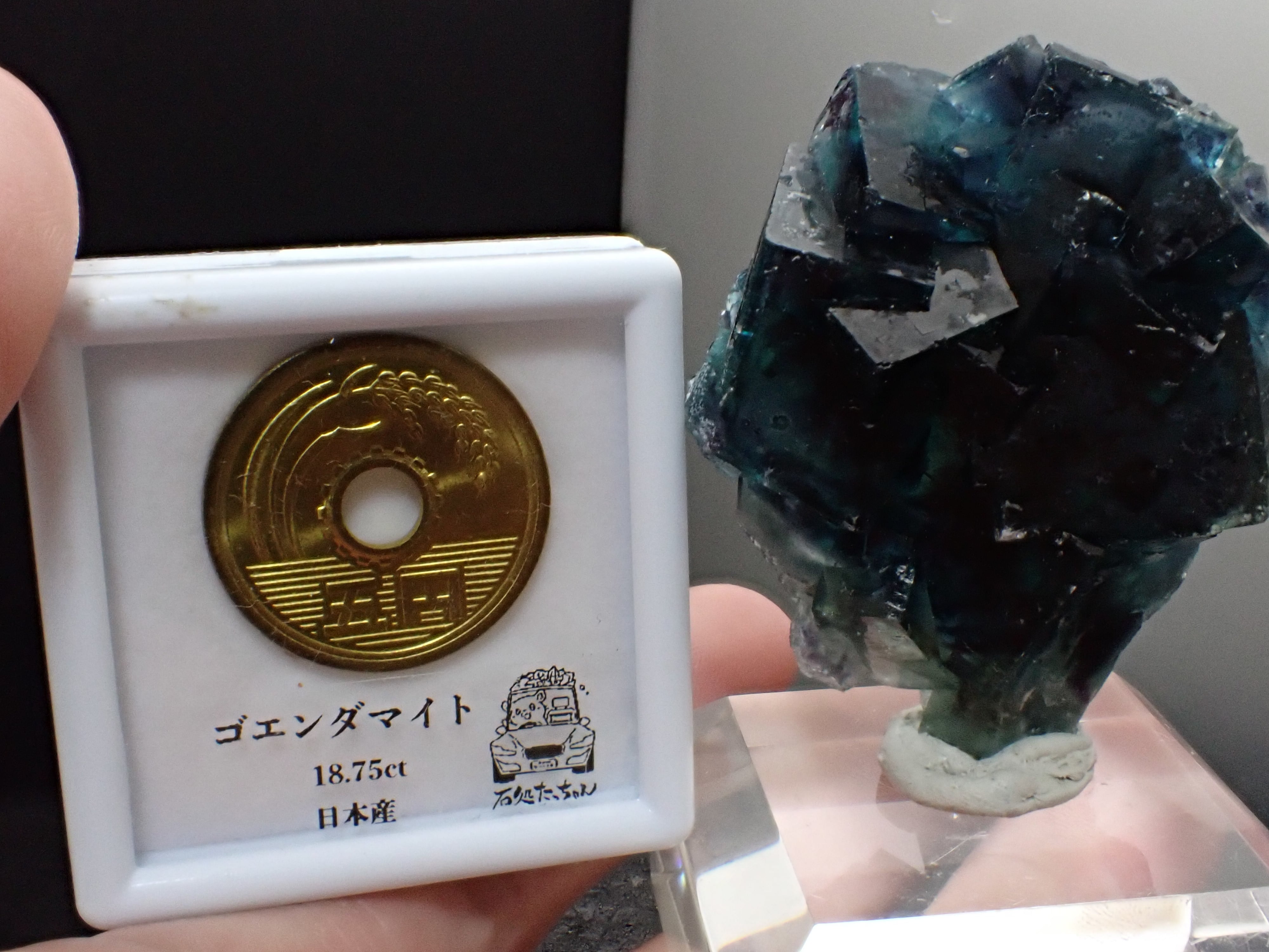 フローライト　オコルス産　原石　鉱物　標本　天然石　蛍石　バタフライポケット バタフライポケット】フローライト オコルス鉱山 蛍石 原石 標本 | 石