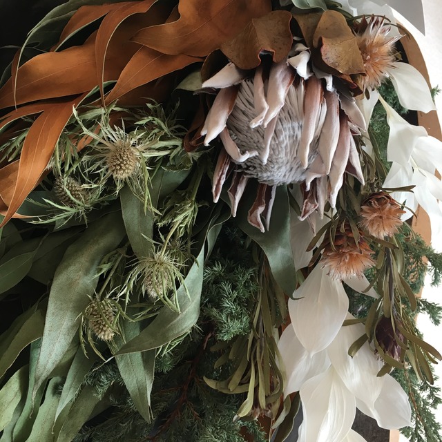 プロテアのスワッグ