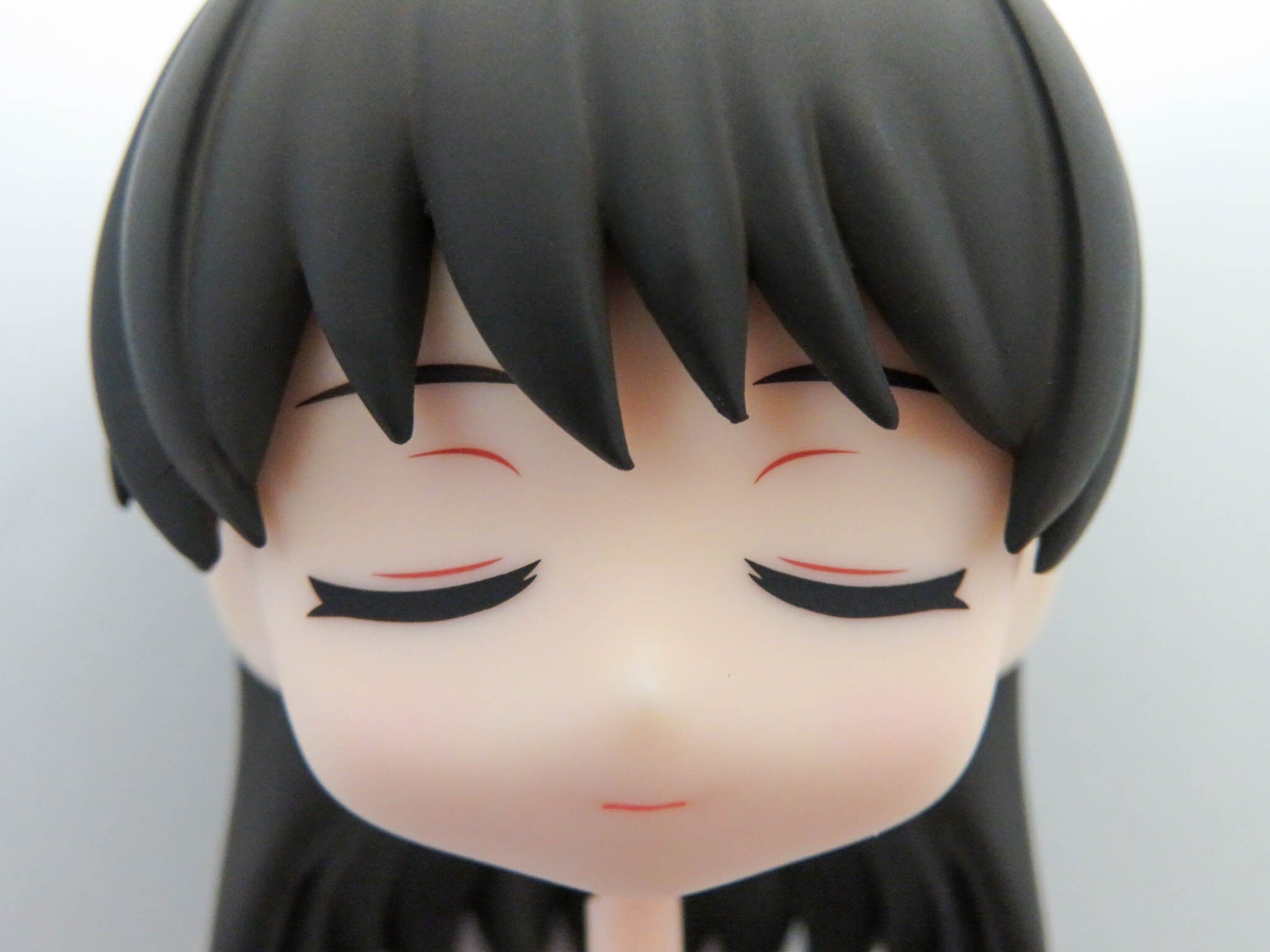 ねんどろいど イヴ GOODSMILE ONLINE SHOP購入特典付属