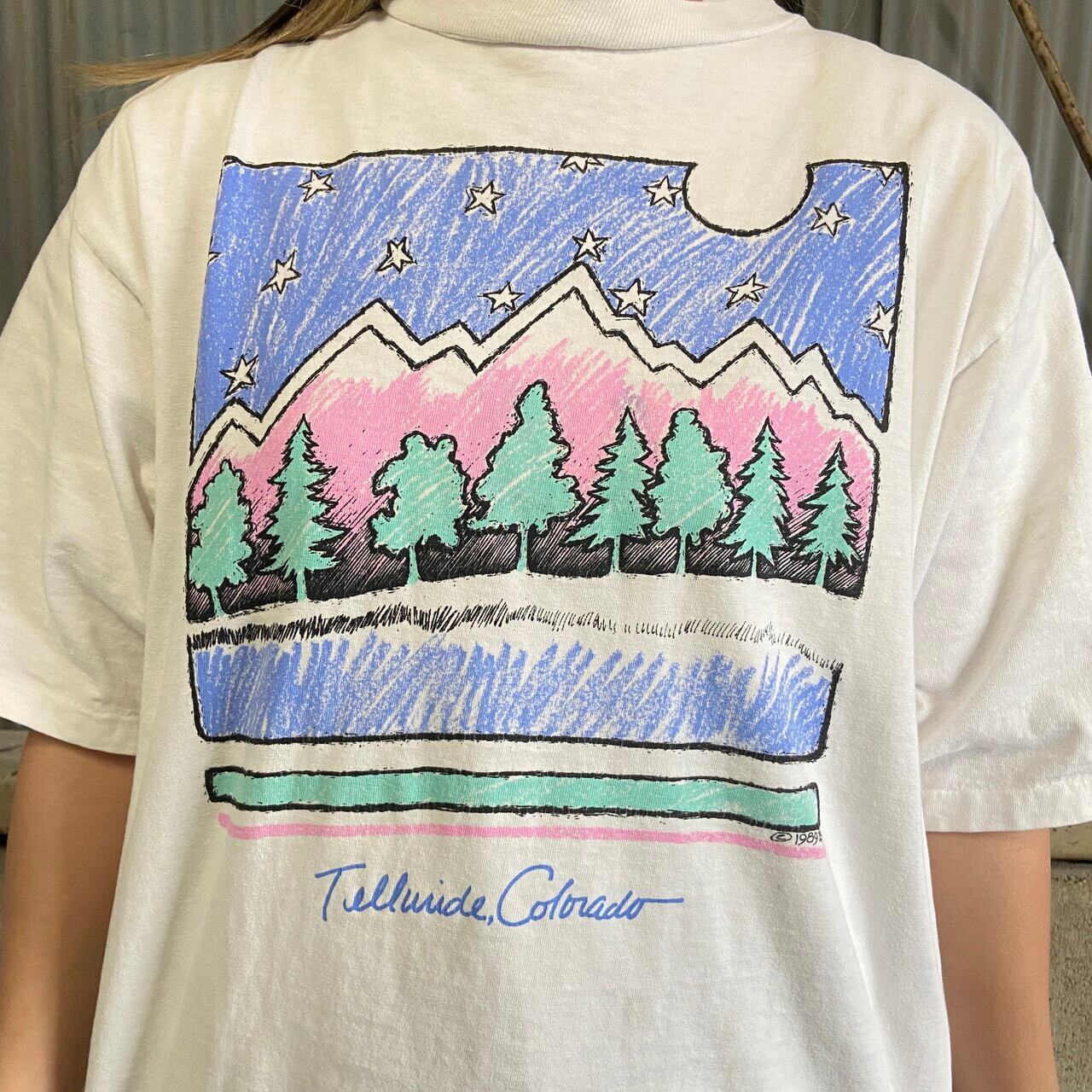 80年代 TELLRIDE COLORADO 風景画 アート プリントTシャツ メンズL相当
