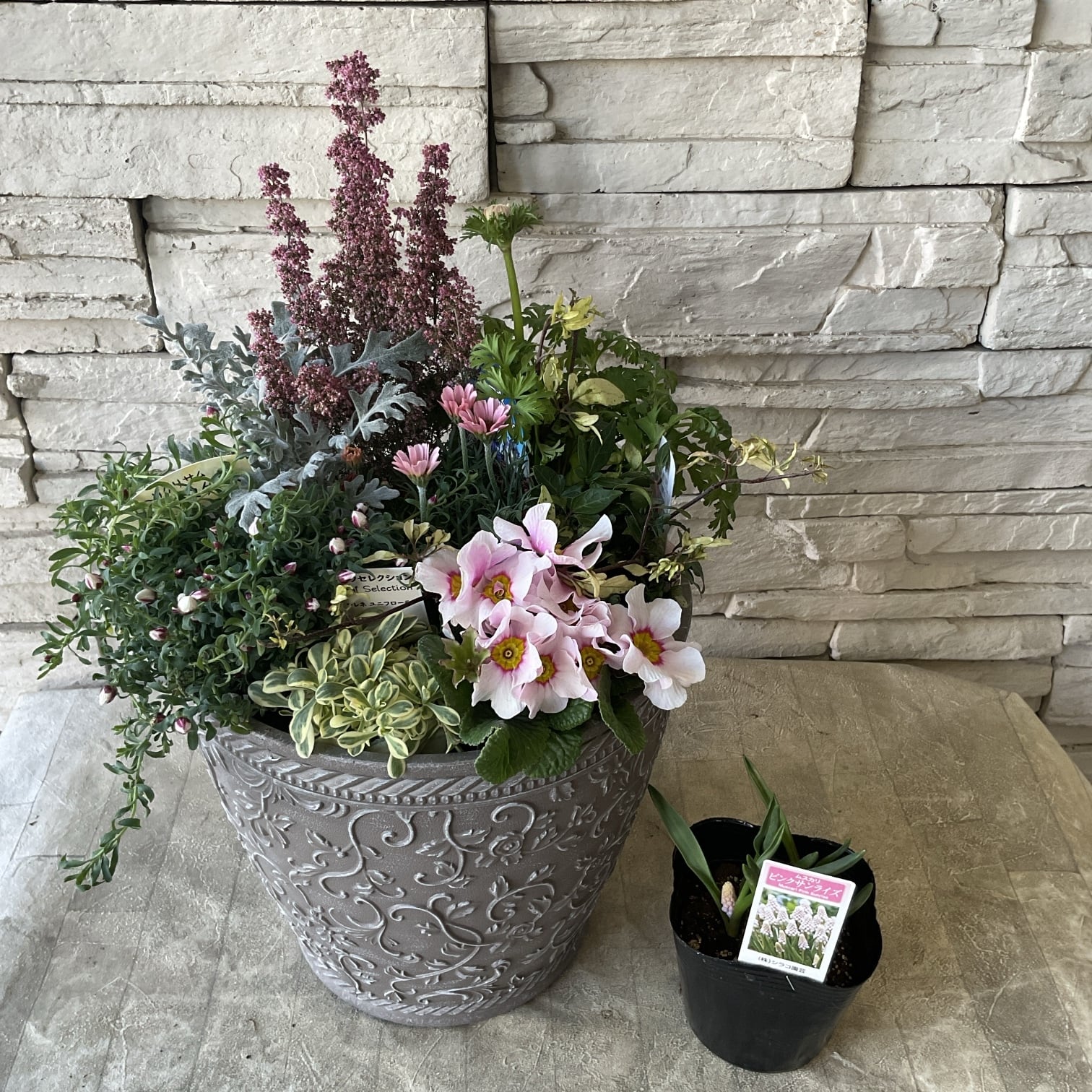 寄せ植え | 橋本種苗園