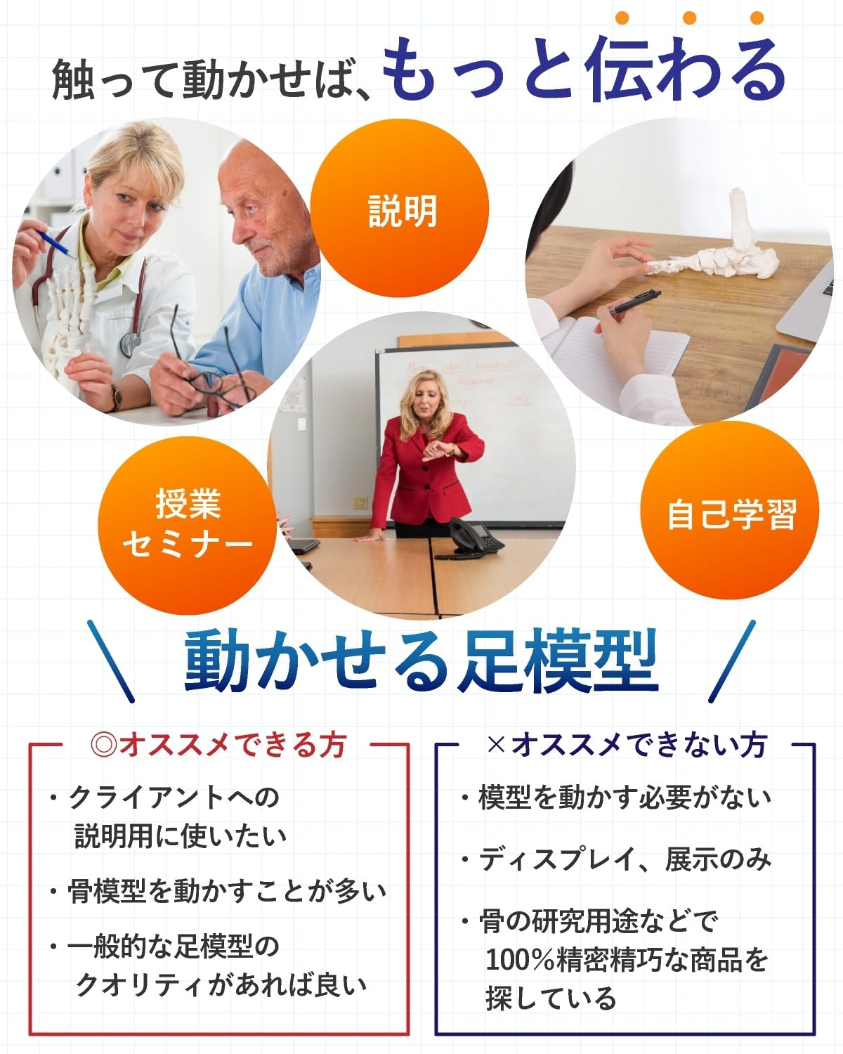 KIYOMARU ビヨーンと伸びて全ての骨を自由に動かせる足骨模型 理学療法