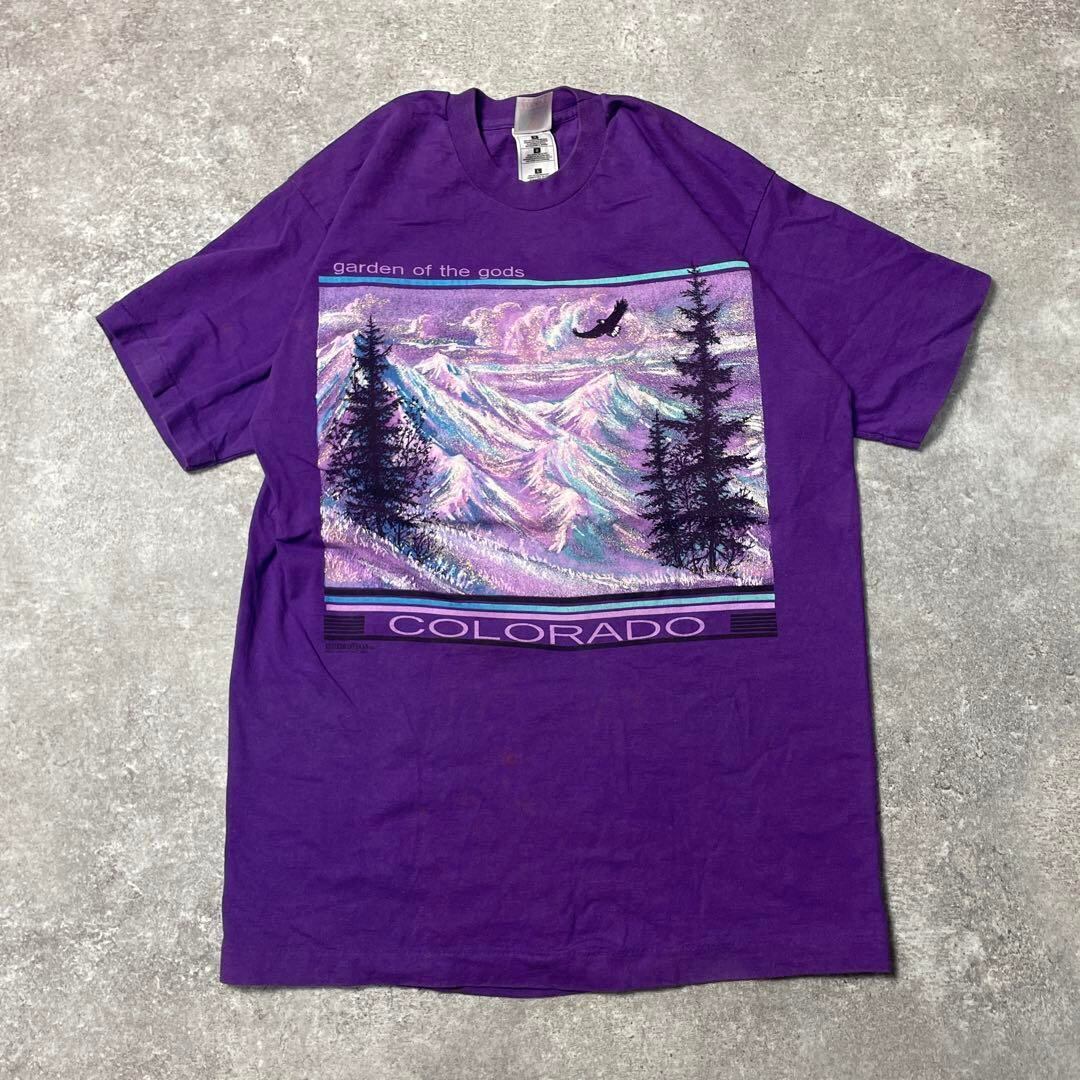 90s USA製 Colorado アート 絵 vintage T-shirts